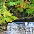 Spencer Gorge Conservation Area in Hamilton