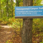 Nassagaweya Canyon Trail in Milton
