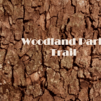 Rouge National Urban Park Woodland Park Trail