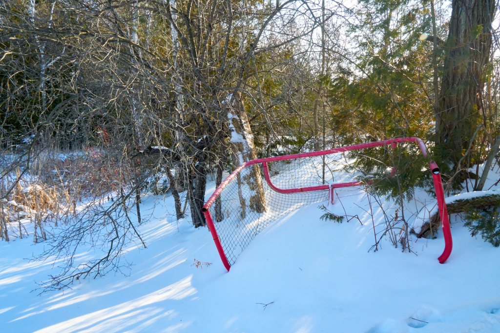 Hockey net frozen to the edge of a pond