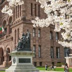 Sakura Trees at the Legislative Assembly of Ontario