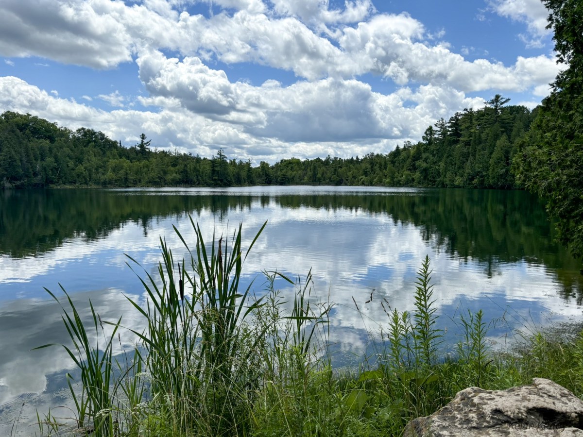 Crawford Lake Conservation Area: Preserving Indigenous History